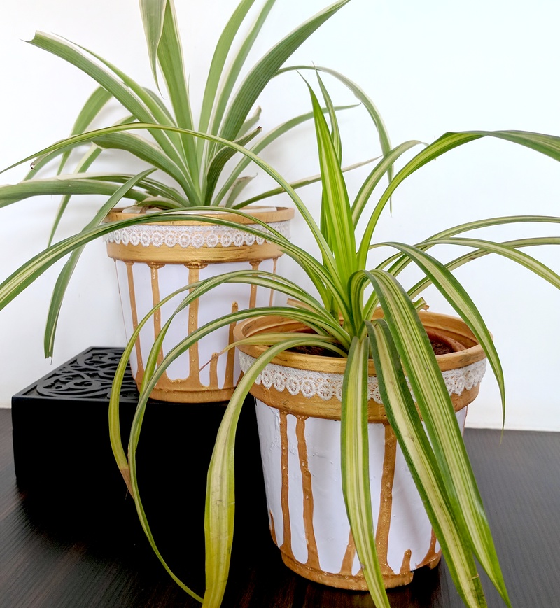 Painting Plastic Pots How To Jazz Up Your Planters One Brick At
